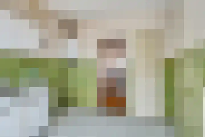 Monseigneur Völkerstraat 4 Kaatsheuvel thumbnail 8