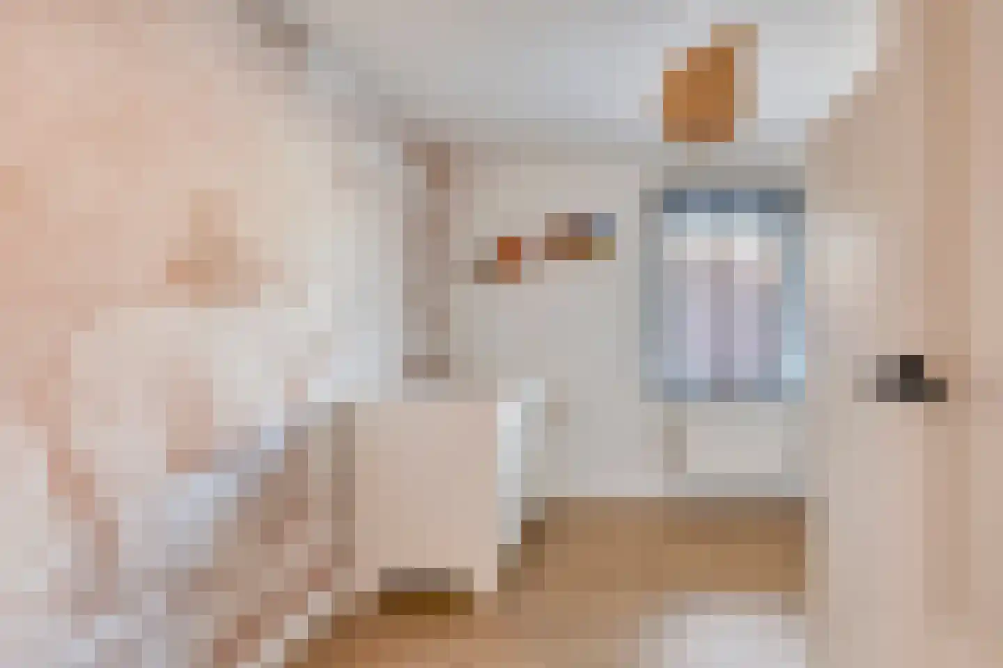 Monseigneur Zwijsenstraat 1 Kaatsheuvel thumbnail 31