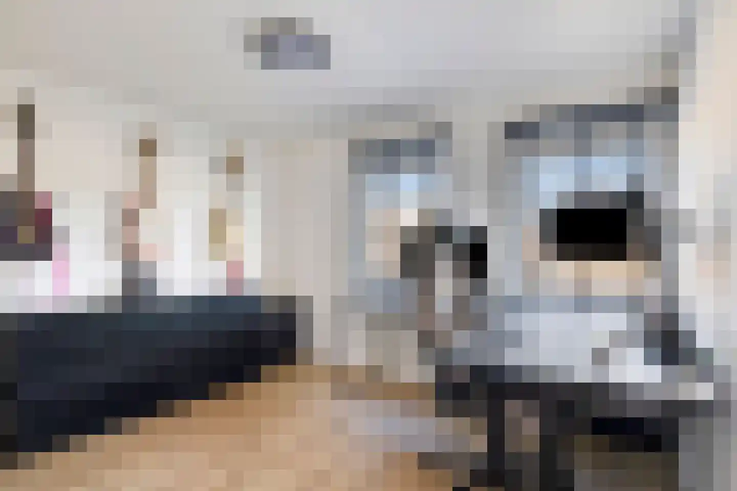 Monseigneur Zwijsenstraat 1 Kaatsheuvel thumbnail 33