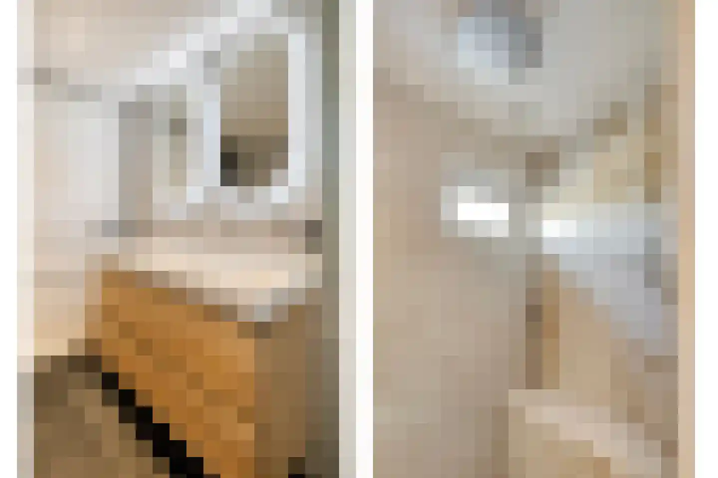 Monseigneur Zwijsenstraat 1 Kaatsheuvel thumbnail 5