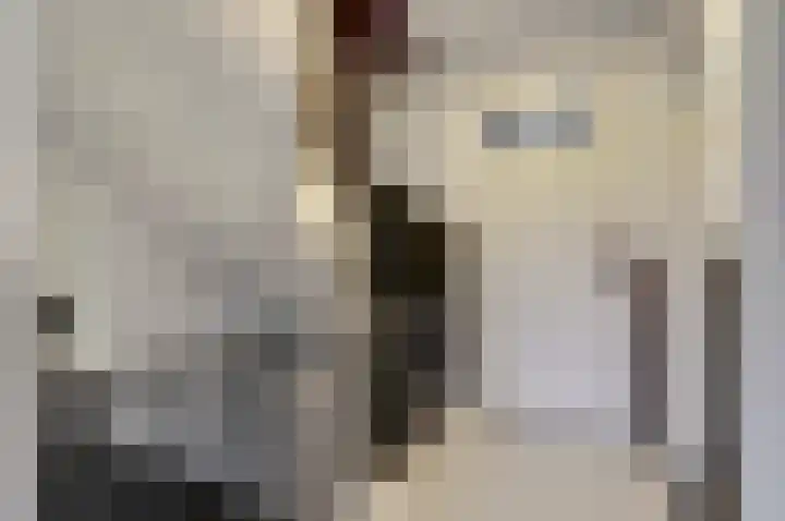 Monseigneur Zwijsenstraat 19 Venlo thumbnail 11