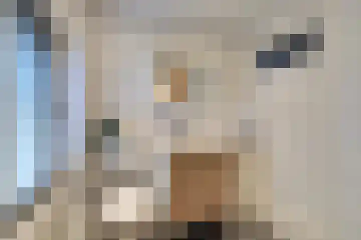 Monseigneur Zwijsenstraat 19 Venlo thumbnail 17