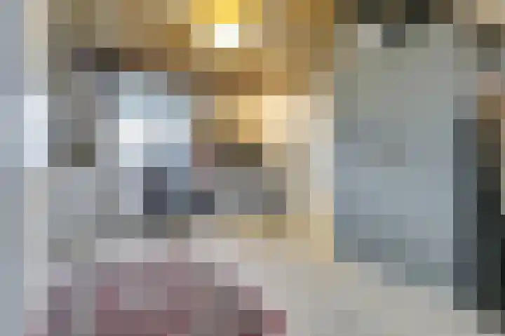 Monseigneur Zwijsenstraat 19 Venlo thumbnail 20