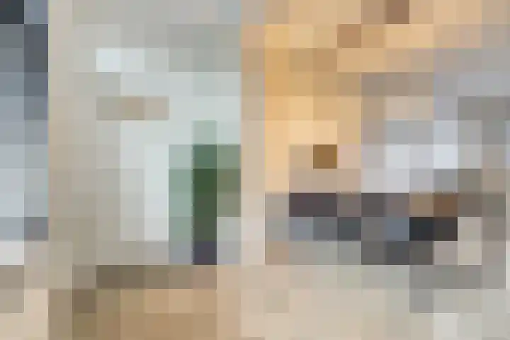 Monseigneur Zwijsenstraat 19 Venlo thumbnail 8