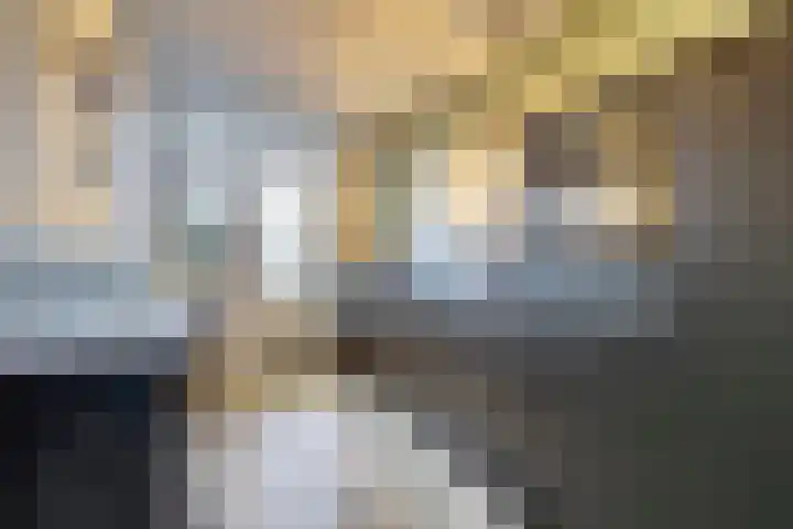 Monseigneur Zwijsenstraat 19 Venlo thumbnail 9