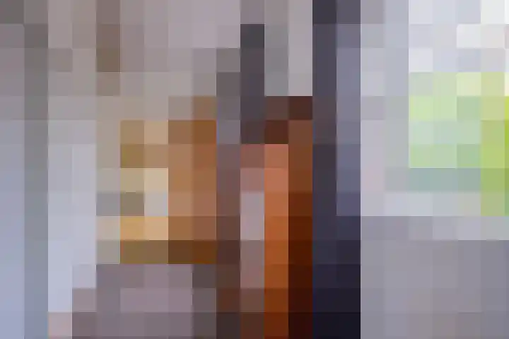Monseigneur Zwijsenstraat 2 A Venlo thumbnail 18