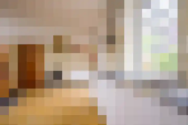 Monseigneur Zwijsenstraat 2 A Venlo thumbnail 19