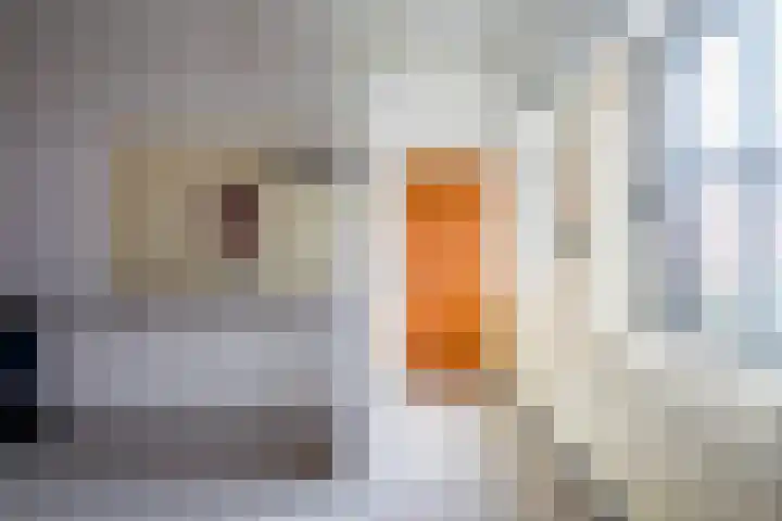 Monseigneur Zwijsenstraat 2 A Venlo thumbnail 29