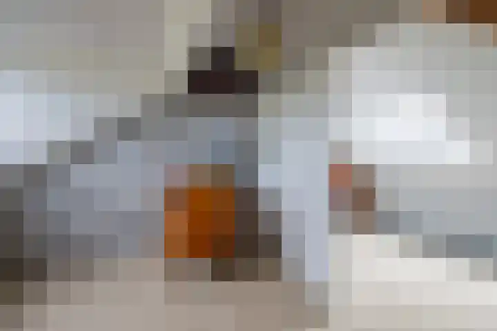 Monseigneur Zwijsenstraat 2 A Venlo thumbnail 39