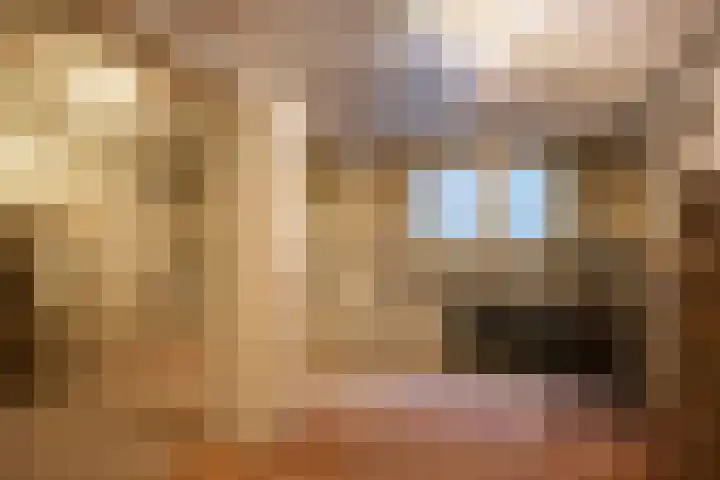 Monseigneur Zwijsenstraat 2 A Venlo thumbnail 48