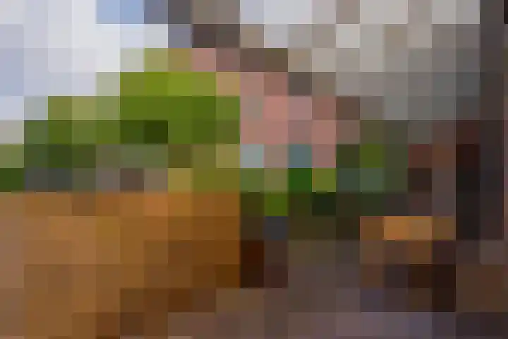 Monseigneur Zwijsenstraat 2 A Venlo thumbnail 61