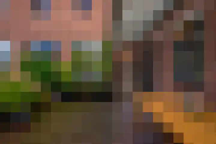 Monseigneur Zwijsenstraat 2 A Venlo thumbnail 62