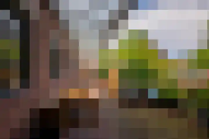 Monseigneur Zwijsenstraat 2 A Venlo thumbnail 63