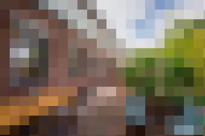 Monseigneur Zwijsenstraat 2 A Venlo thumbnail 64