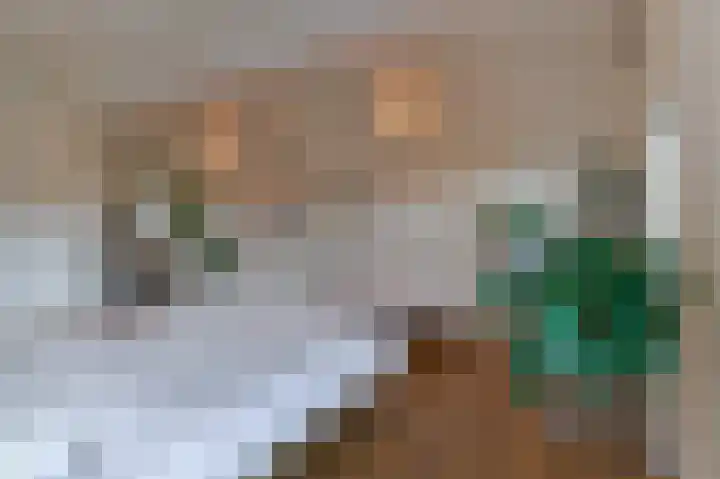 Monseigneur Zwijsenstraat 2 C Venlo thumbnail 23