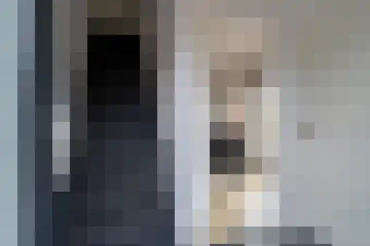 Monseigneur Zwijsenstraat 20 Kaatsheuvel thumbnail 11