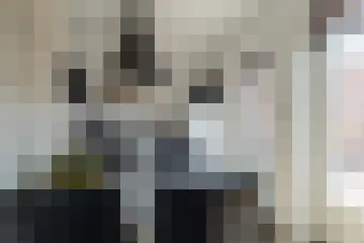 Monseigneur Zwijsenstraat 20 Kaatsheuvel thumbnail 13