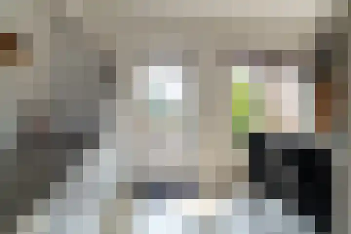Monseigneur Zwijsenstraat 20 Kaatsheuvel thumbnail 15