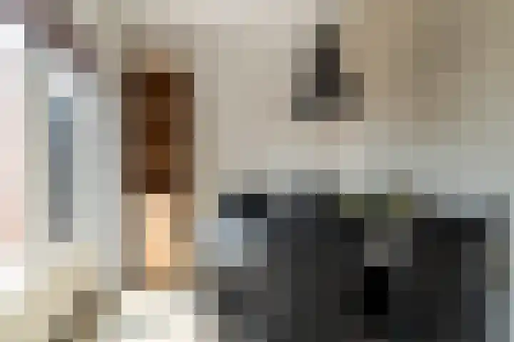 Monseigneur Zwijsenstraat 20 Kaatsheuvel thumbnail 16