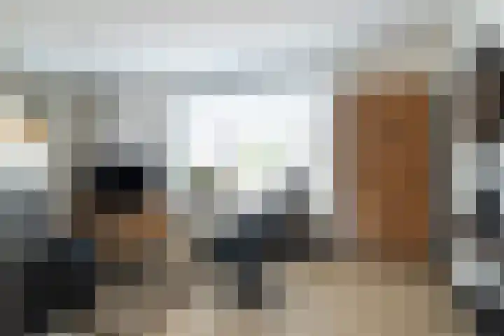 Monseigneur Zwijsenstraat 20 Kaatsheuvel thumbnail 17