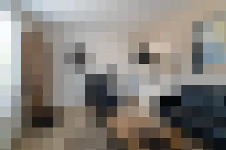 Monseigneur Zwijsenstraat 20 Kaatsheuvel thumbnail 18