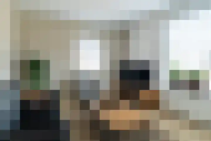 Monseigneur Zwijsenstraat 20 Kaatsheuvel thumbnail 19
