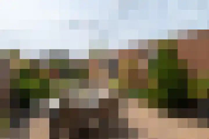 Monseigneur Zwijsenstraat 20 Kaatsheuvel thumbnail 28