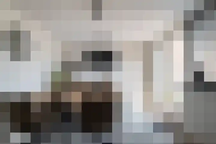 Monseigneur Zwijsenstraat 20 Kaatsheuvel thumbnail 30