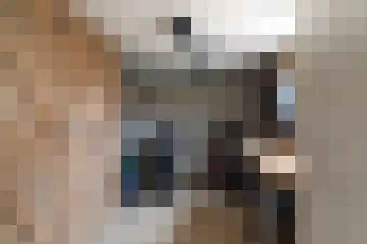 Monseigneur Zwijsenstraat 20 Kaatsheuvel thumbnail 31
