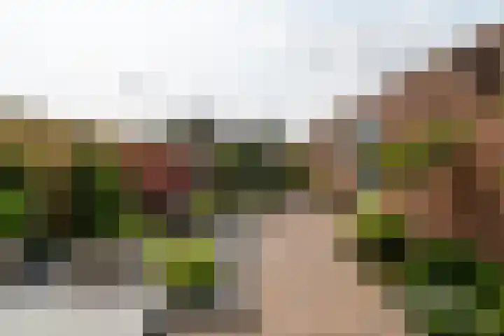 Monseigneur Zwijsenstraat 20 Kaatsheuvel thumbnail 5