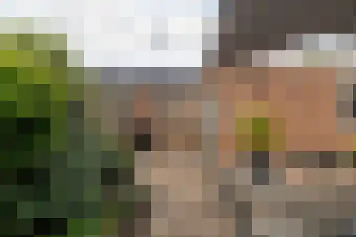 Monseigneur Zwijsenstraat 20 Kaatsheuvel thumbnail 7