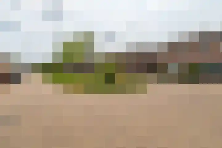 Monseigneur Zwijsenstraat 20 Kaatsheuvel thumbnail 9