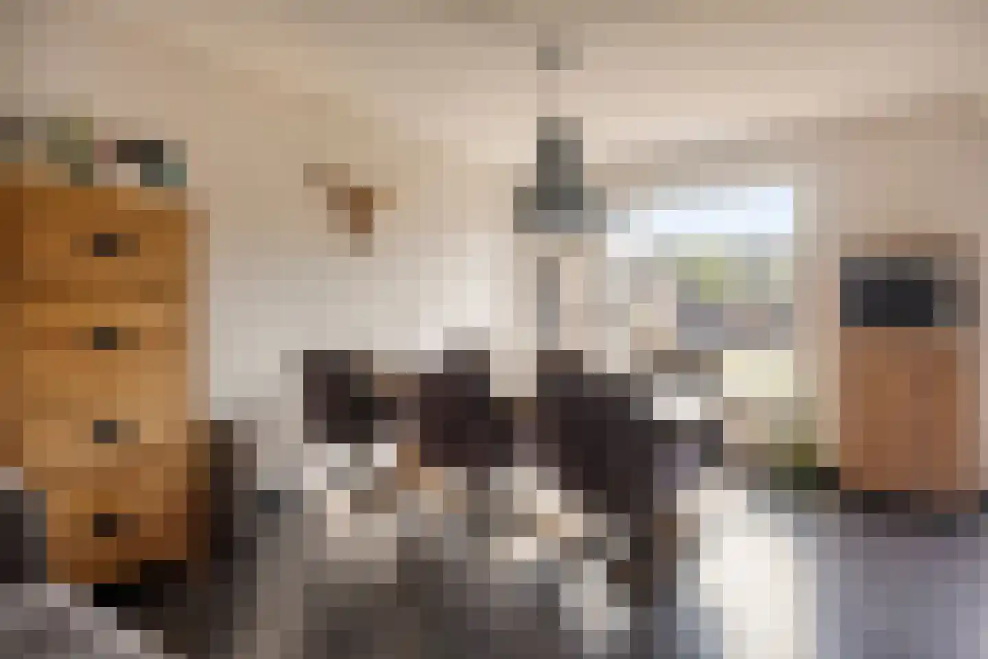 Monseigneur Zwijsenstraat 3 Heesch thumbnail 11