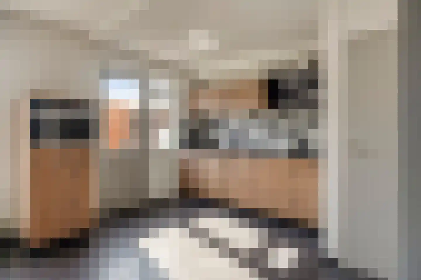 Monseigneur Zwijsenstraat 3 Heesch thumbnail 13