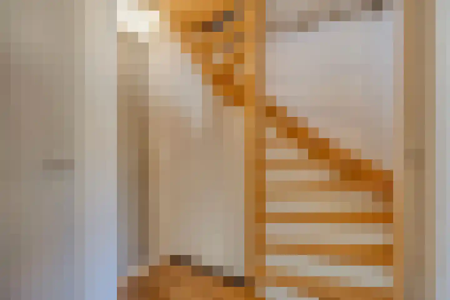 Monseigneur Zwijsenstraat 3 Heesch thumbnail 16