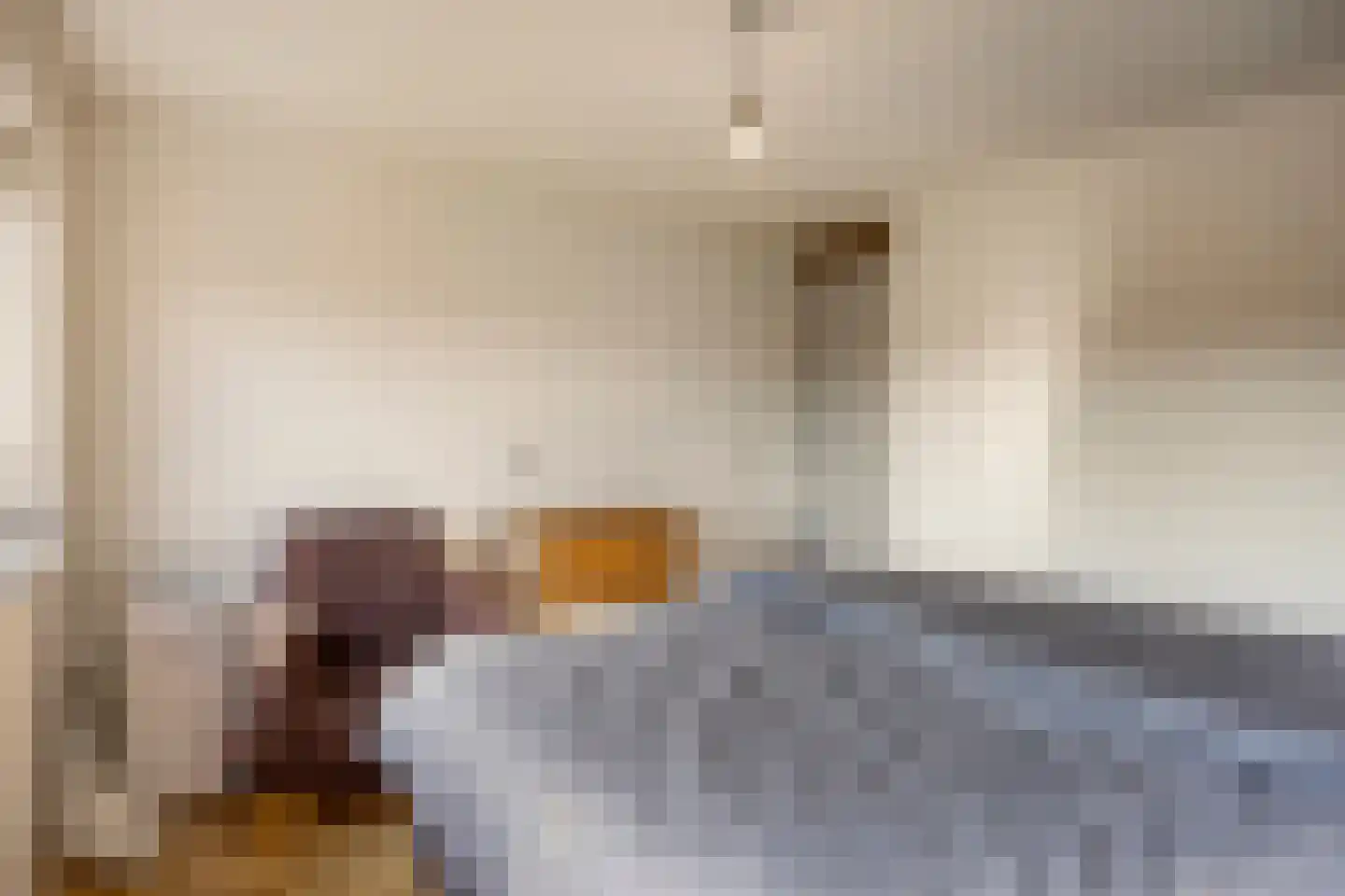 Monseigneur Zwijsenstraat 3 Heesch thumbnail 18