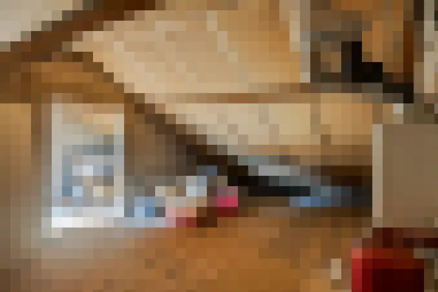 Monseigneur Zwijsenstraat 3 Heesch thumbnail 27