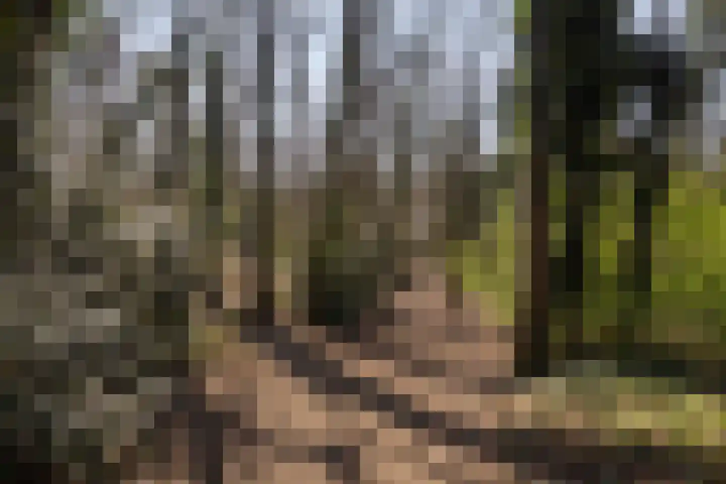 Monseigneur Zwijsenstraat 3 Heesch thumbnail 38