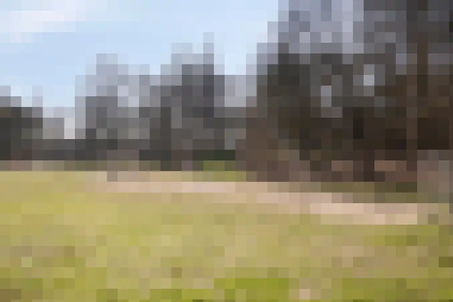 Monseigneur Zwijsenstraat 3 Heesch thumbnail 39