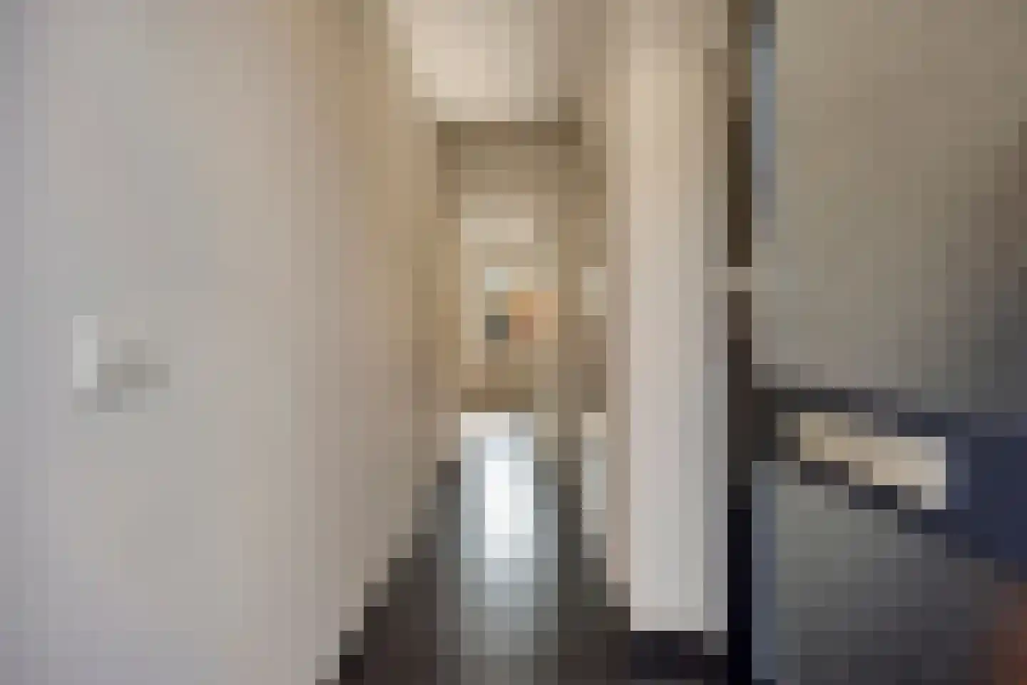 Monseigneur Zwijsenstraat 3 Heesch thumbnail 4