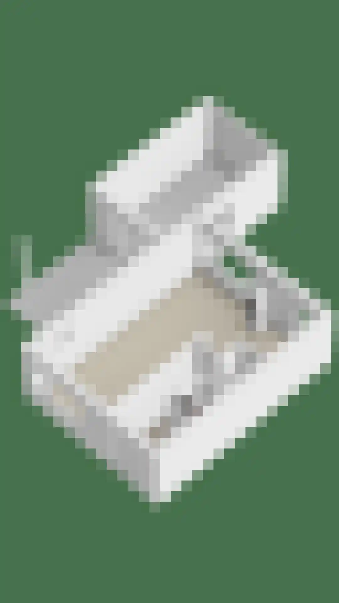 Monseigneur Zwijsenstraat 3 Heesch thumbnail 43