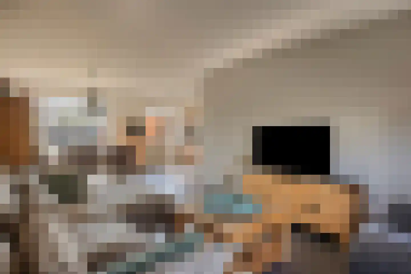 Monseigneur Zwijsenstraat 3 Heesch thumbnail 9