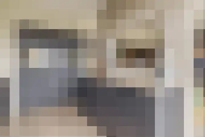 Monseigneur Zwijsenstraat 6 Venlo thumbnail 14
