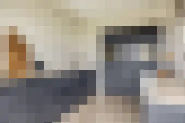 Monseigneur Zwijsenstraat 6 Venlo thumbnail 15