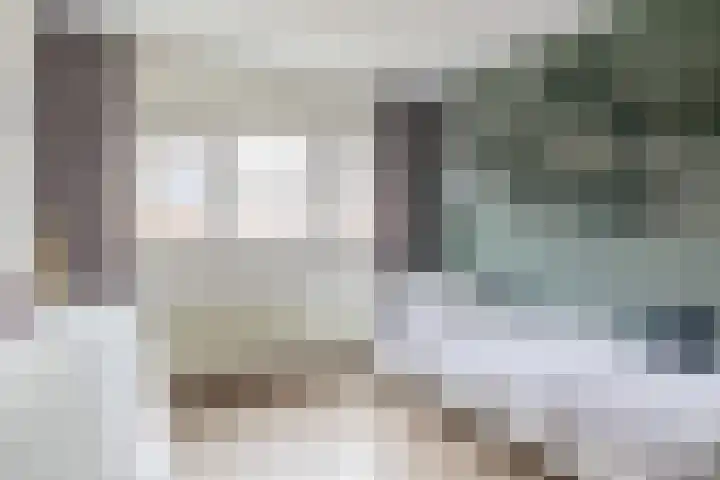 Monseigneur Zwijsenstraat 6 Venlo thumbnail 21