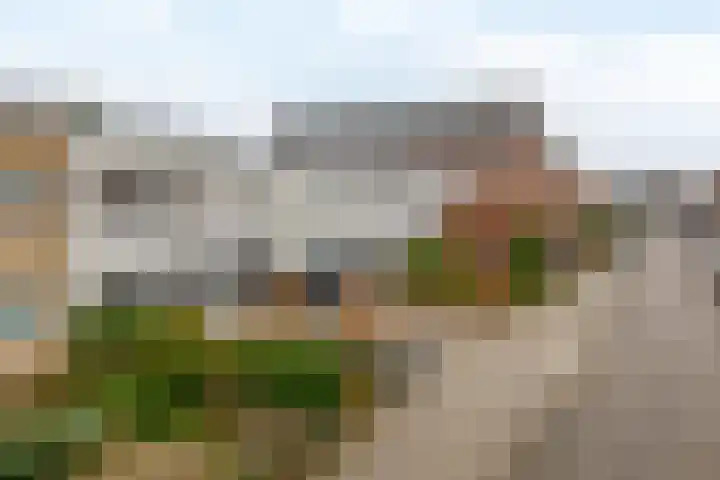 Monseigneur Zwijsenstraat 6 Venlo thumbnail 30
