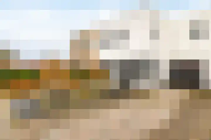 Monseigneur Zwijsenstraat 6 Venlo thumbnail 4