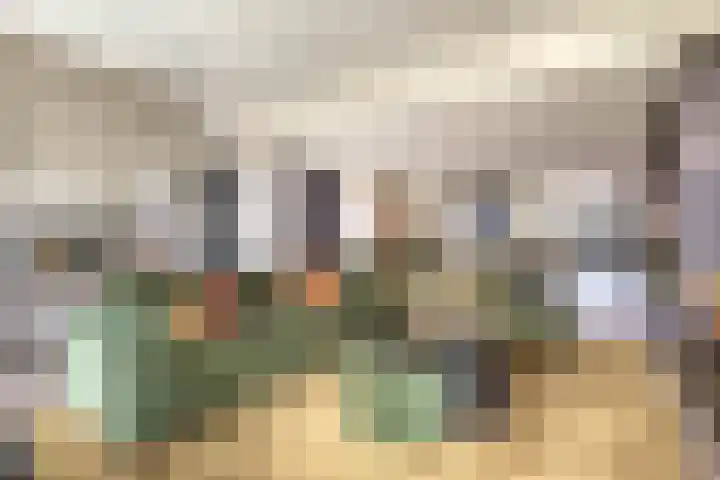 Monseigneur Zwijsenstraat 6 Venlo thumbnail 6