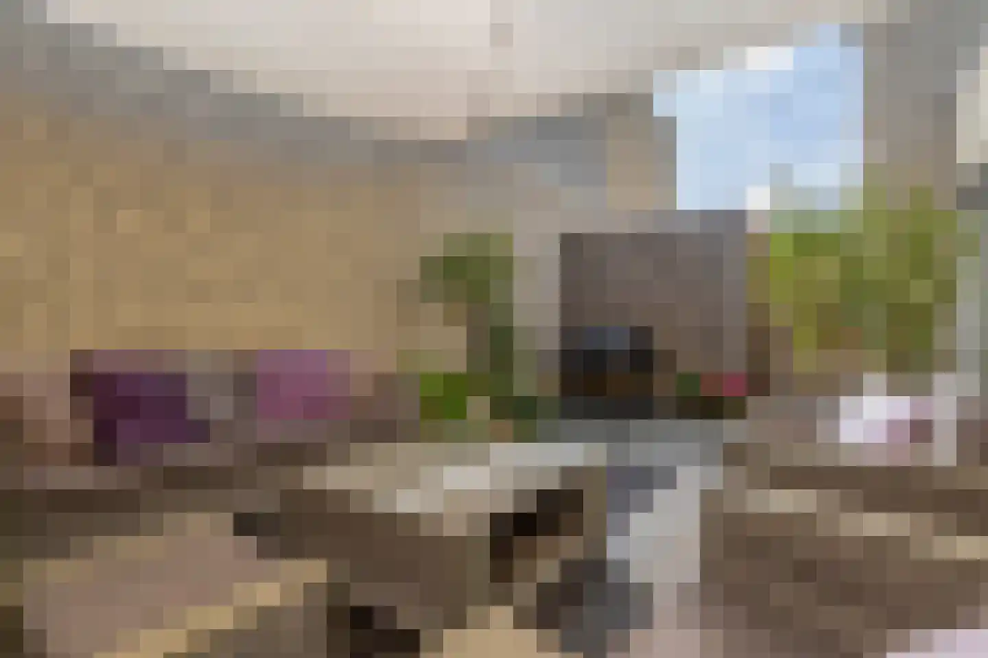 Monsepad 29 Venlo thumbnail 20