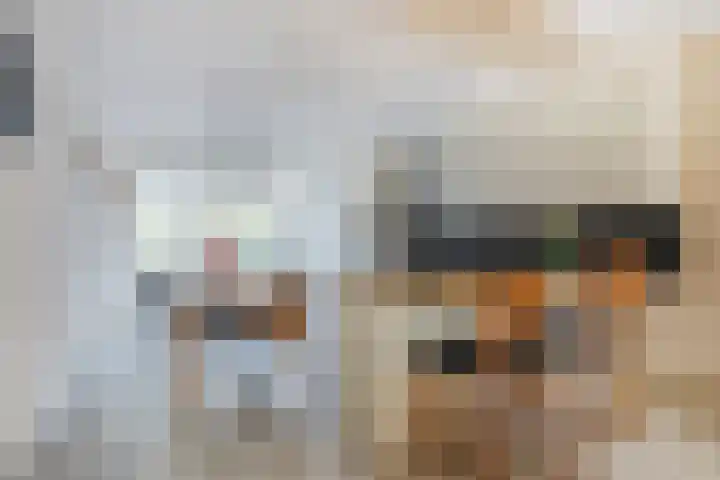 Monshouwerlaan 16 Hoevelaken thumbnail 12